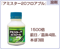 アミスター20フロアブル