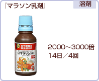 マラソン乳剤