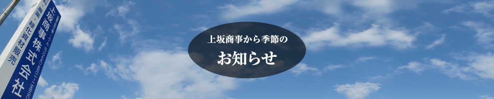 上坂商事株式会社