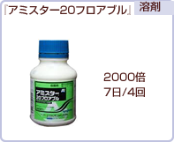 アミスター20フロアブル